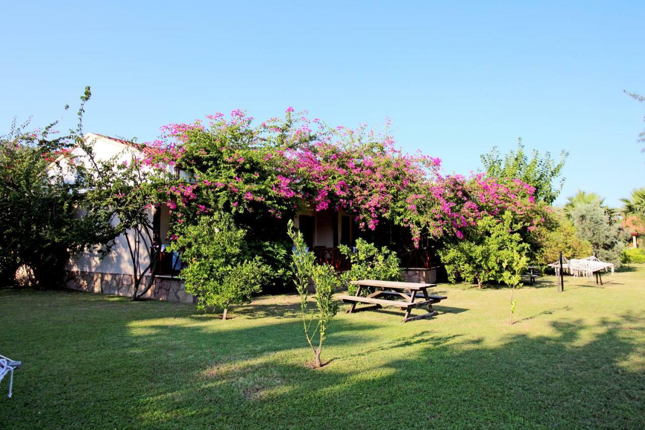 Nerissa Hotel Çıralı Buitenkant foto