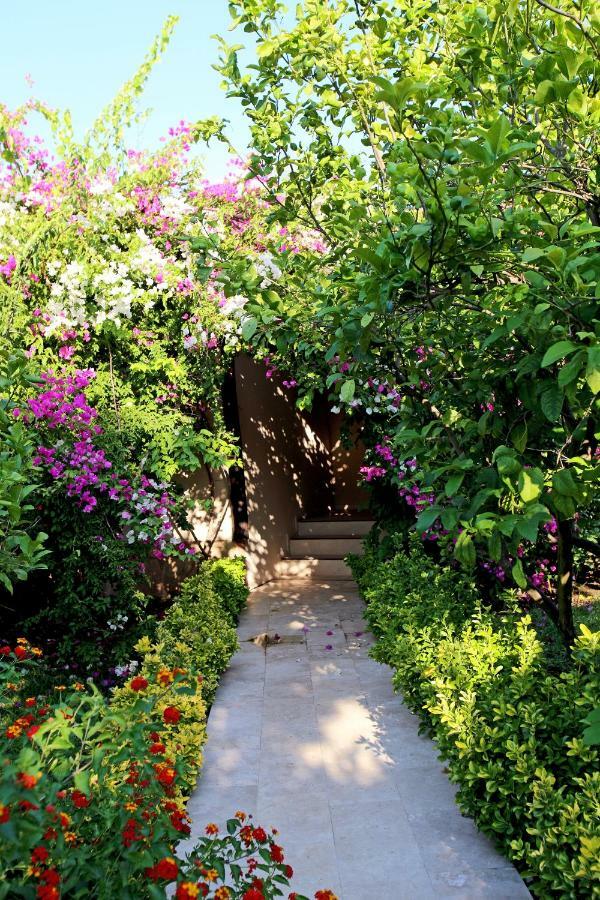 Nerissa Hotel Çıralı Buitenkant foto
